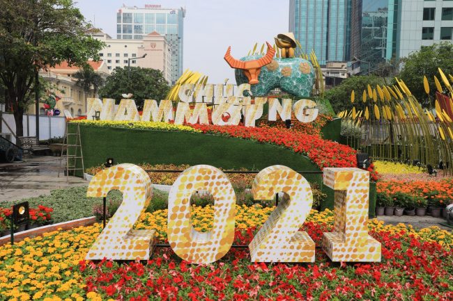 duong-hoa-nguyen-hue-truoc-ngay-khai-mac