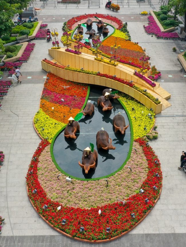 duong-hoa-nguyen-hue-truoc-ngay-khai-mac