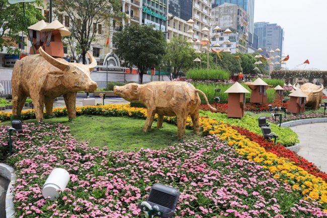 duong-hoa-nguyen-hue-truoc-ngay-khai-mac