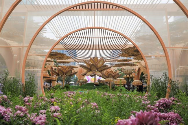 duong-hoa-nguyen-hue-truoc-ngay-khai-mac