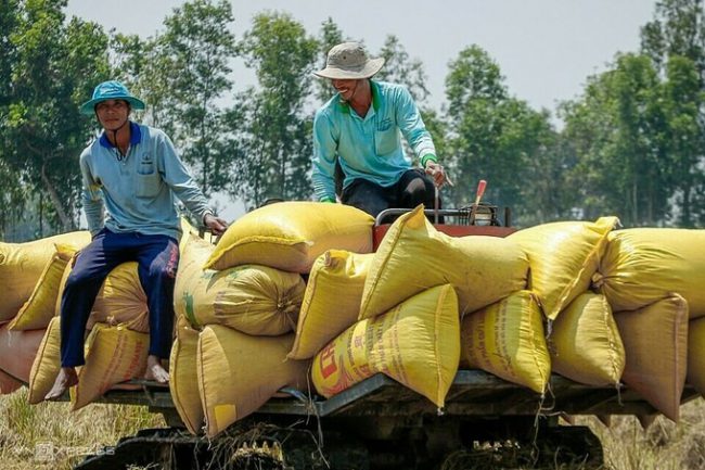 nhung-tro-luc-kim-chan-dong-bang-song-cuu-long