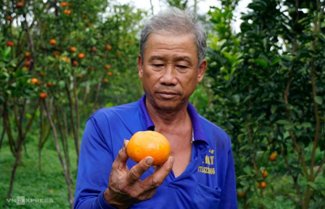 thu-phu-quyt-hong-lai-vung-tim-lai-thoi-hoang-kim