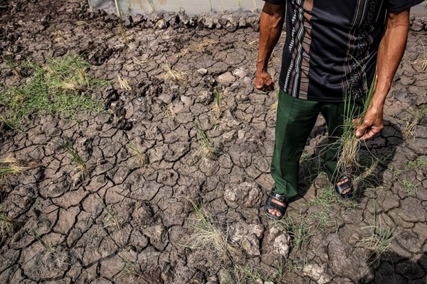 xam-nhap-man-o-khu-vuc-nam-bo