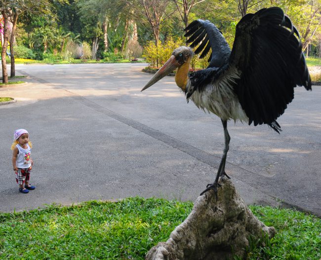 nhung-khoanh-khac-hanh-phuc