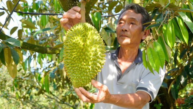 dan-mien-tay-tru-nuoc-cho-mua-han-man