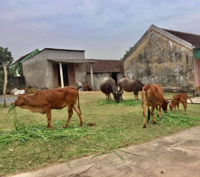 goc-chia-se-thu-phuong-xa