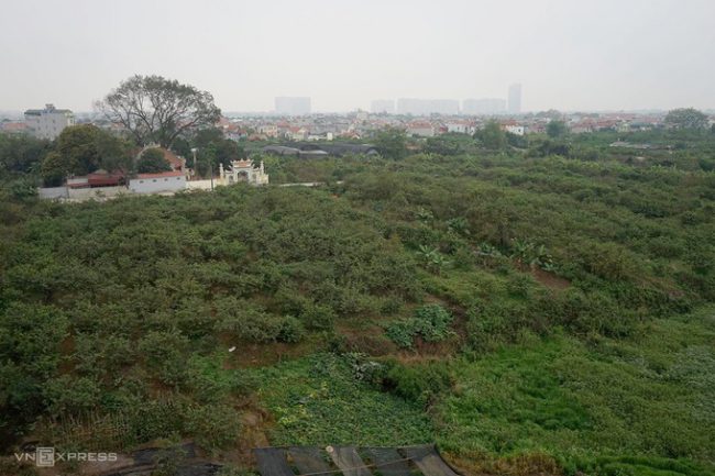 6-bai-song-hong-duoc-quy-hoach-thanh-khu-do-thi-moi