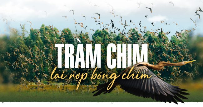 tram-chim-lai-rop-bong-chim