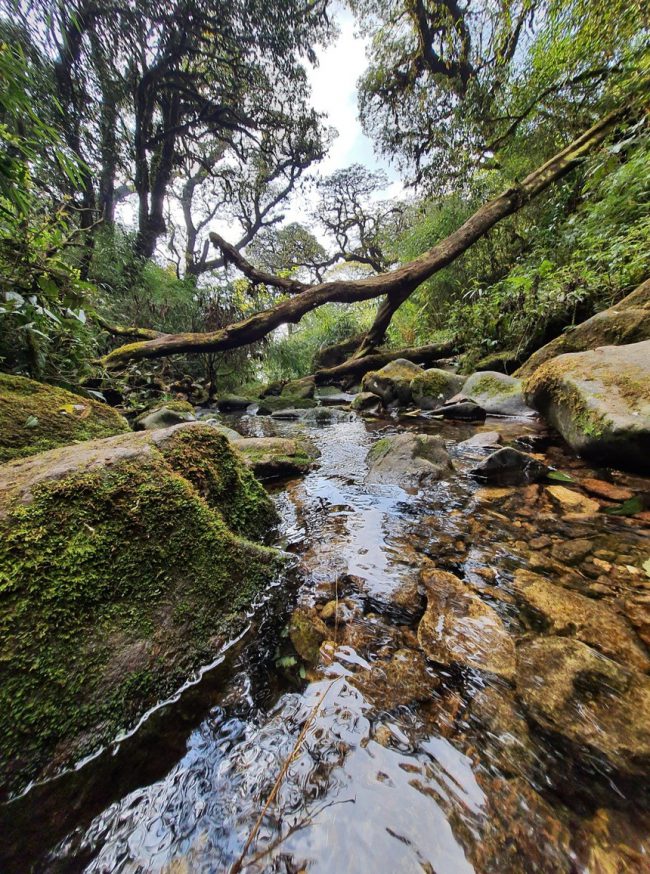 chinh-phuc-putaleng-rung-gia-huyen-bi-o-lai-chau