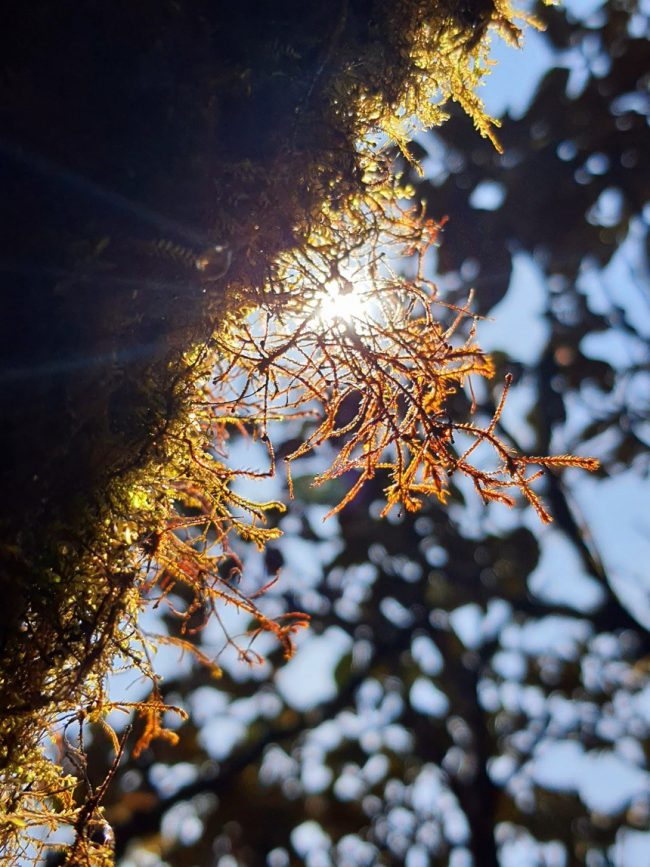 chinh-phuc-putaleng-rung-gia-huyen-bi-o-lai-chau