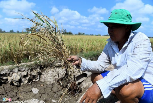 tphcm-nang-nong-tro-lai