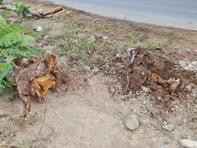 phuong-vi-bat-goc-de-chet-nu-dieu-duong