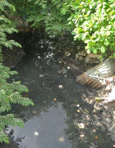 du-an-rach-xuyen-tam