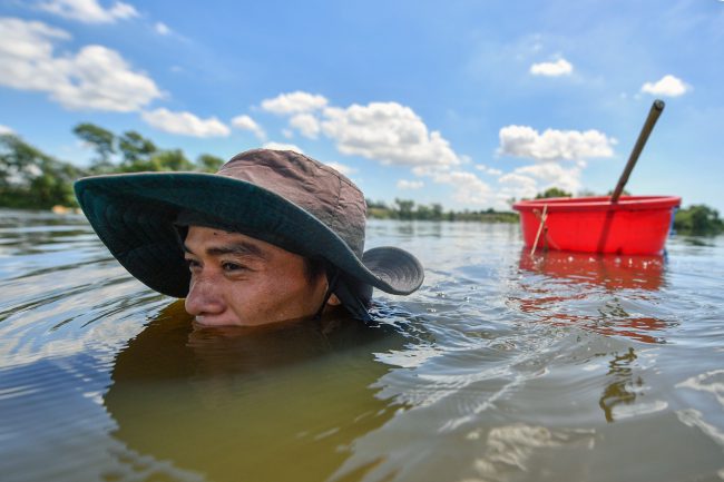 bat-ca-cao-oc-o-rung-ngap-man-giua-tp-phan-thiet