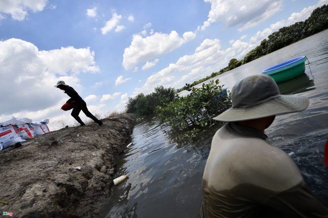 bat-ca-cao-oc-o-rung-ngap-man-giua-tp-phan-thiet