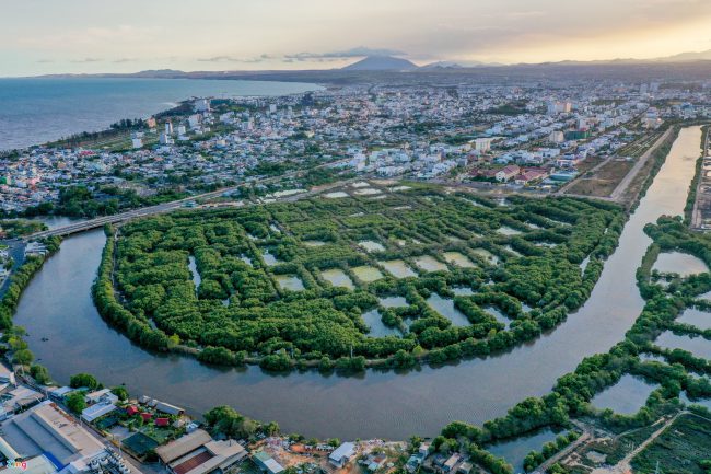 bat-ca-cao-oc-o-rung-ngap-man-giua-tp-phan-thiet