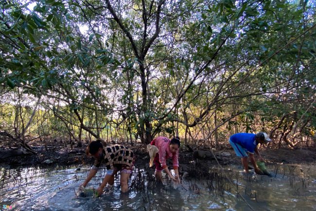 bat-ca-cao-oc-o-rung-ngap-man-giua-tp-phan-thiet