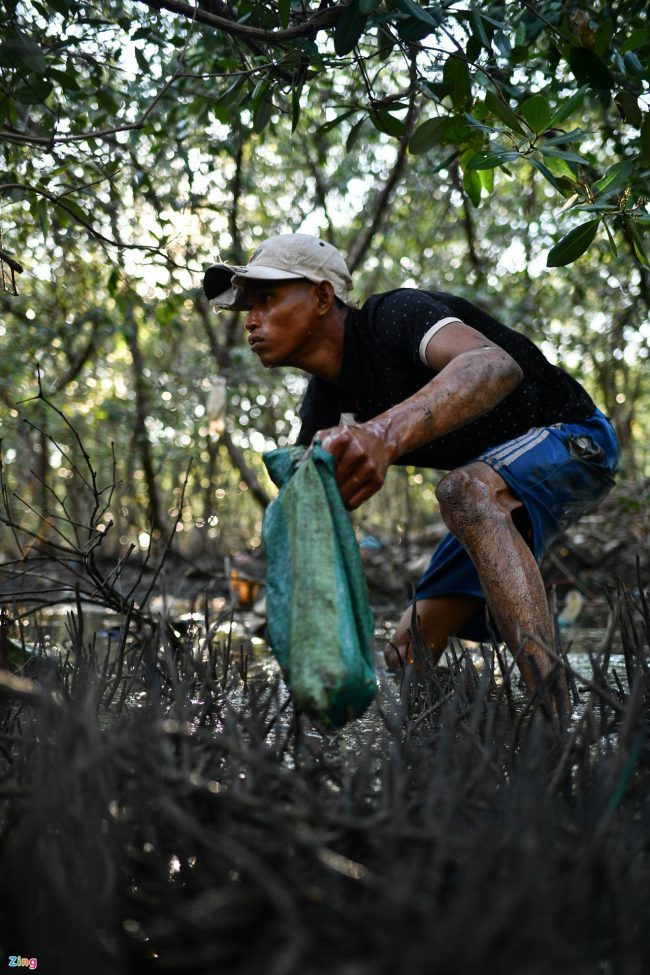 bat-ca-cao-oc-o-rung-ngap-man-giua-tp-phan-thiet