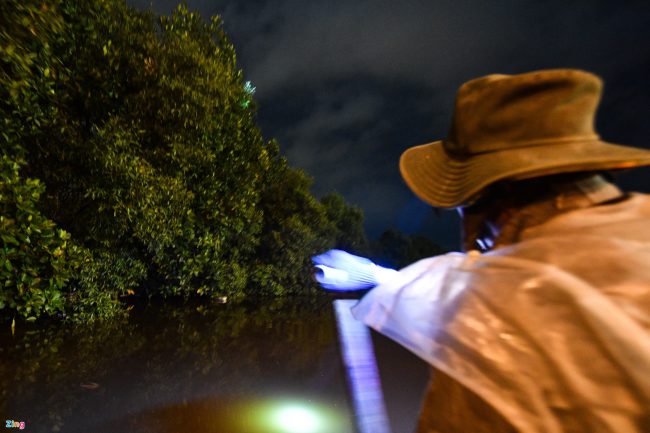 bat-ca-cao-oc-o-rung-ngap-man-giua-tp-phan-thiet