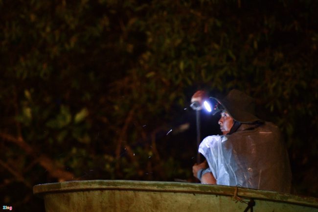 bat-ca-cao-oc-o-rung-ngap-man-giua-tp-phan-thiet