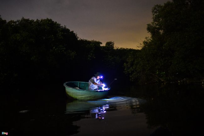 bat-ca-cao-oc-o-rung-ngap-man-giua-tp-phan-thiet