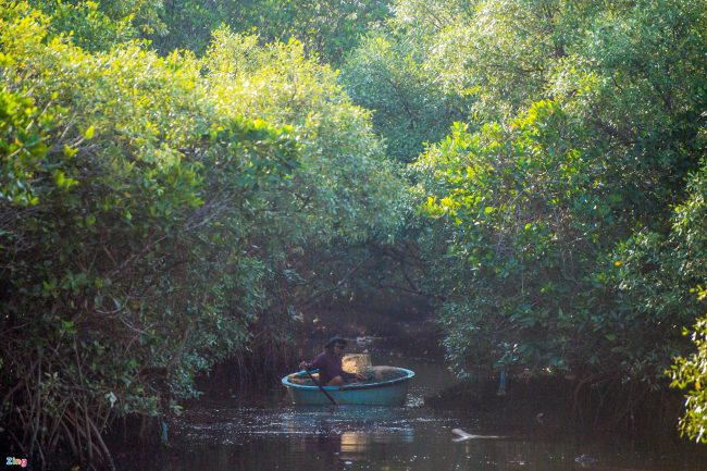 bat-ca-cao-oc-o-rung-ngap-man-giua-tp-phan-thiet