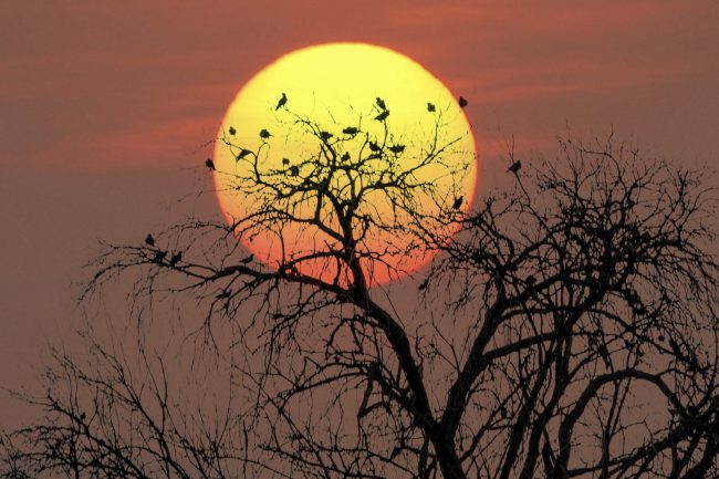 nhung-khoanh-khac-hanh-phuc