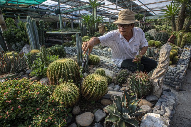 nhung-khoanh-khac-hanh-phuc