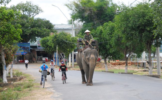 nhung-khoanh-khac-hanh-phuc