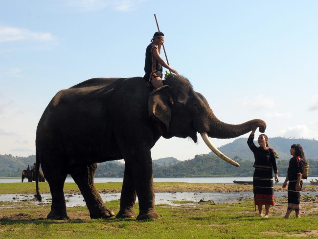 nhung-khoanh-khac-hanh-phuc