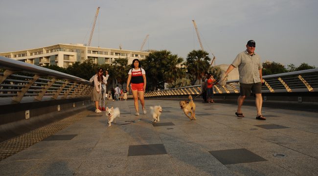 nhung-khoanh-khac-hanh-phuc