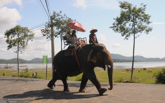 nhung-khoanh-khac-hanh-phuc