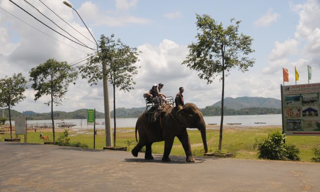 nhung-khoanh-khac-hanh-phuc
