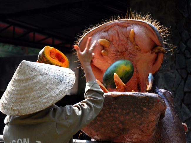 nhung-khoanh-khac-hanh-phuc