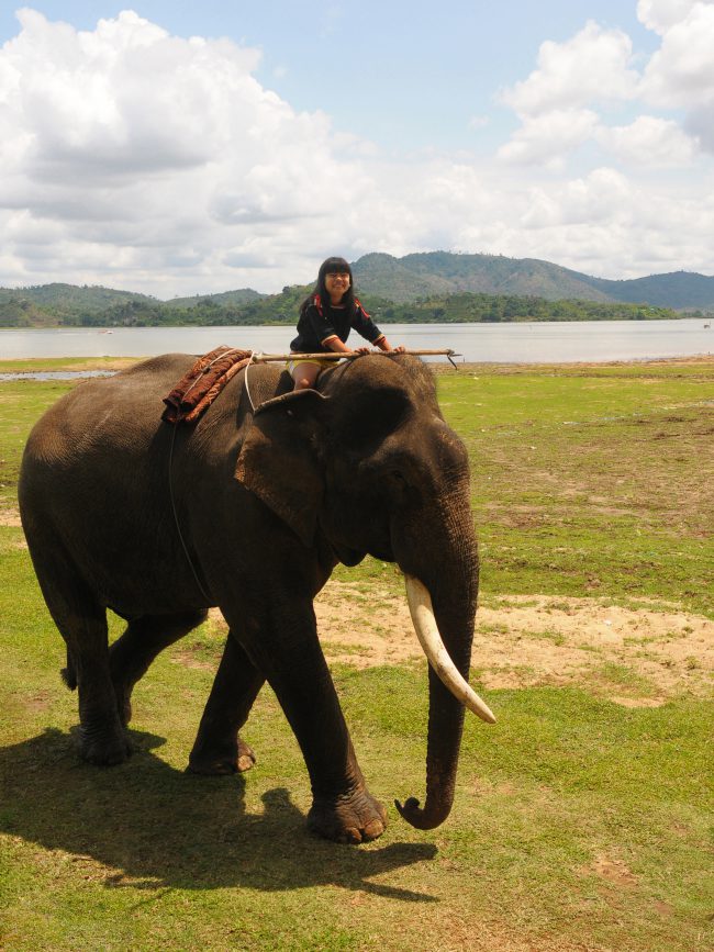 nhung-khoanh-khac-hanh-phuc