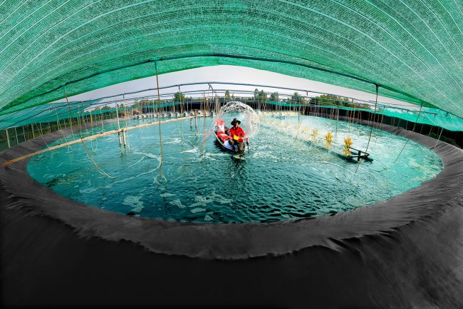 nhung-khoanh-khac-hanh-phuc