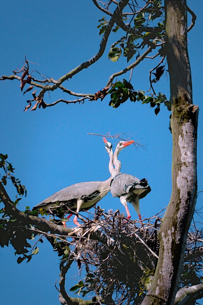 nhung-khoanh-khac-hanh-phuc