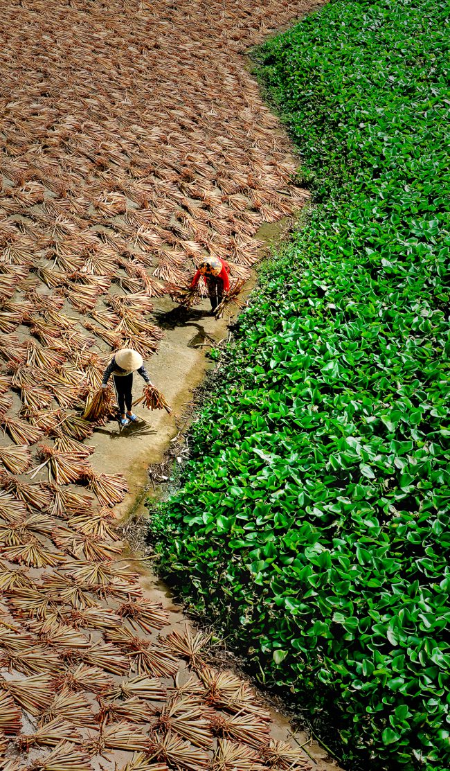 nhung-khoanh-khac-hanh-phuc