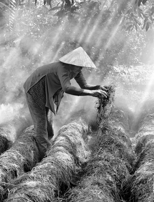 nhung-khoanh-khac-hanh-phuc