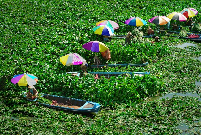 nhung-khoanh-khac-hanh-phuc