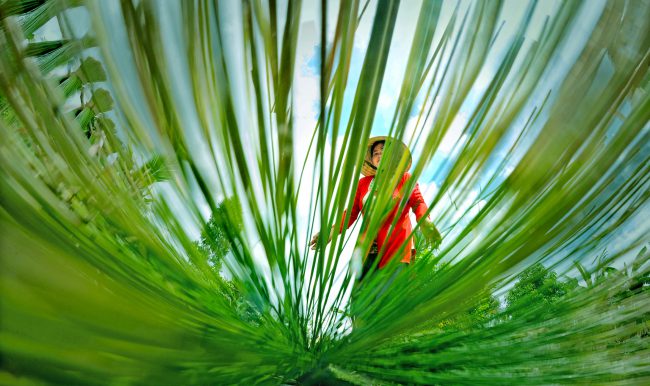 nhung-khoanh-khac-hanh-phuc