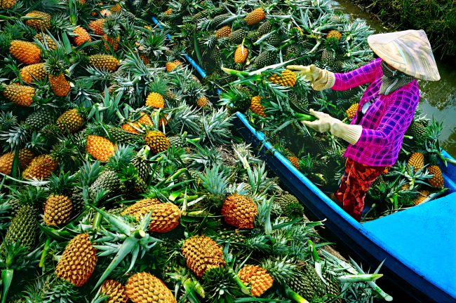 nhung-khoanh-khac-hanh-phuc