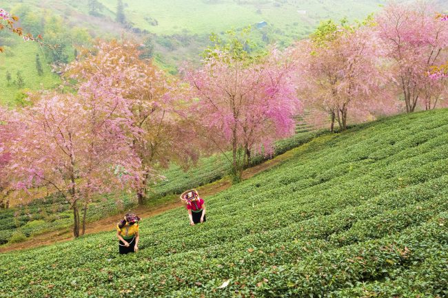 nhung-khoanh-khac-hanh-phuc
