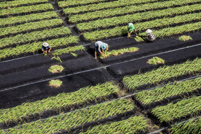 nhung-khoanh-khac-hanh-phuc