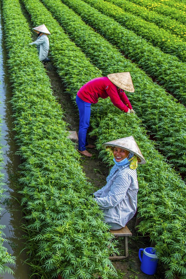 nhung-khoanh-khac-hanh-phuc