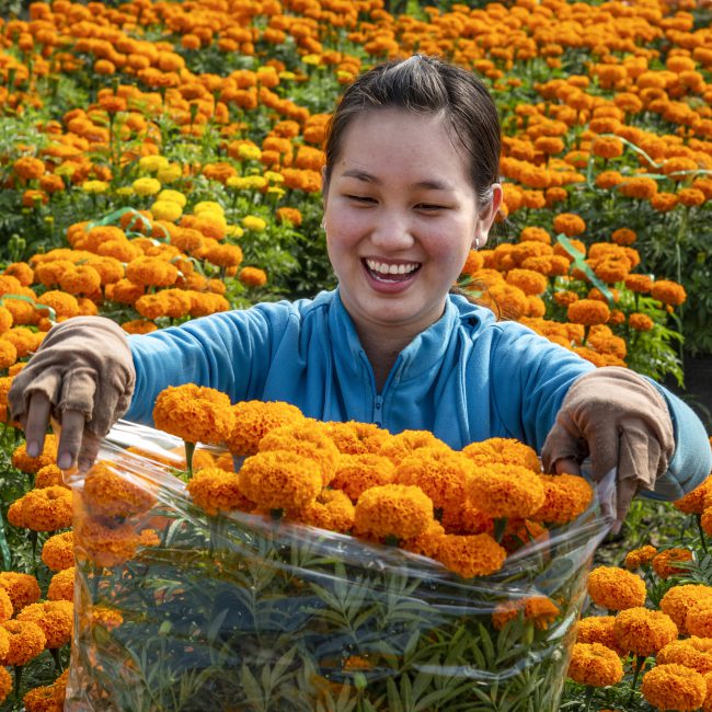 nhung-khoanh-khac-hanh-phuc