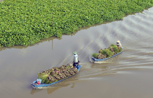 nhung-khoanh-khac-hanh-phuc