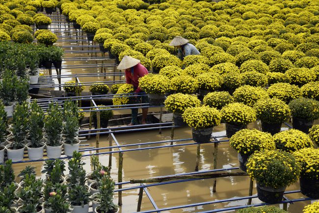 nhung-khoanh-khac-hanh-phuc