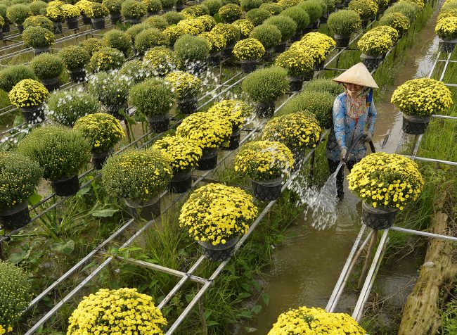 nhung-khoanh-khac-hanh-phuc