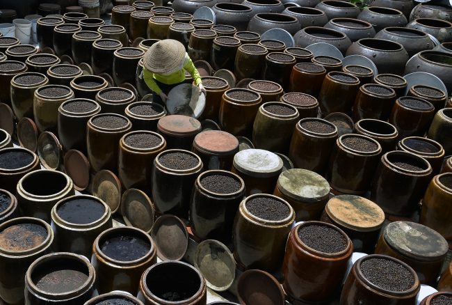 nhung-khoanh-khac-hanh-phuc